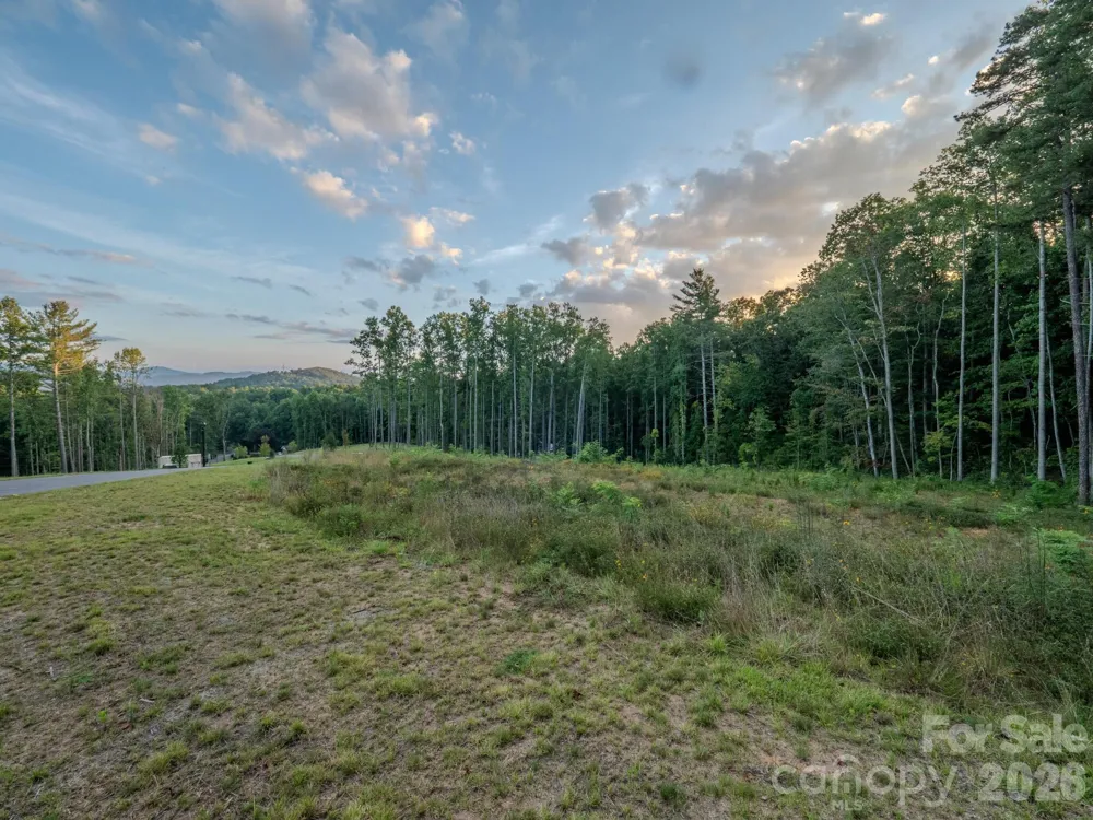 444 Irvine Drive Fairview, NC 28730