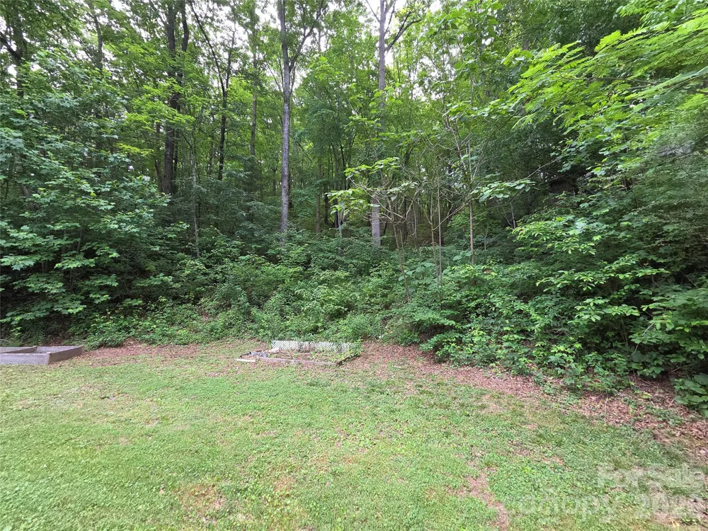 165 Mount Eire Drive Sylva, NC 28779
