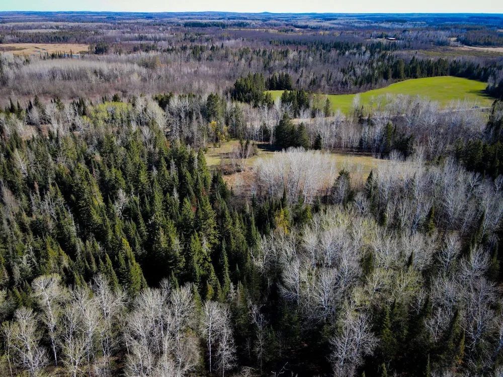 12905 Township Road D Wawina, MN 55736