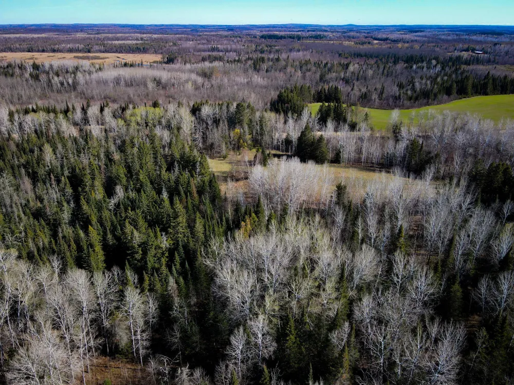 12905 Township Road D Wawina, MN 55736