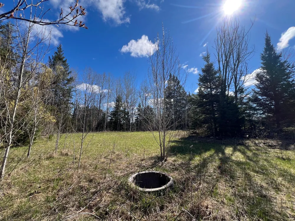 12905 Township Road D Wawina, MN 55736