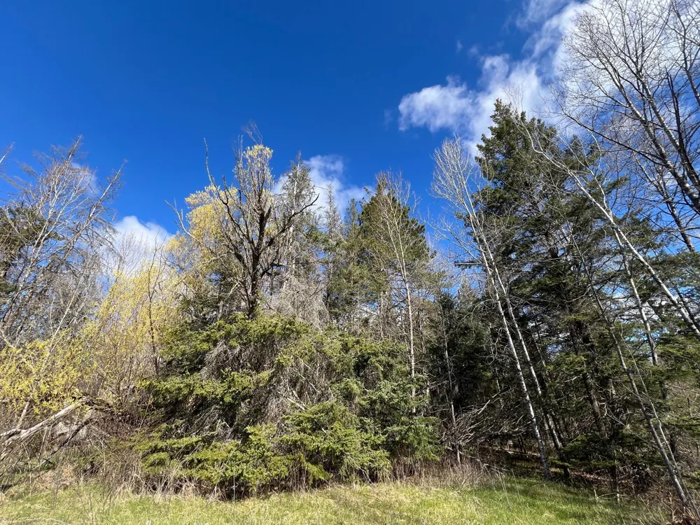 12905 Township Road D Wawina, MN 55736