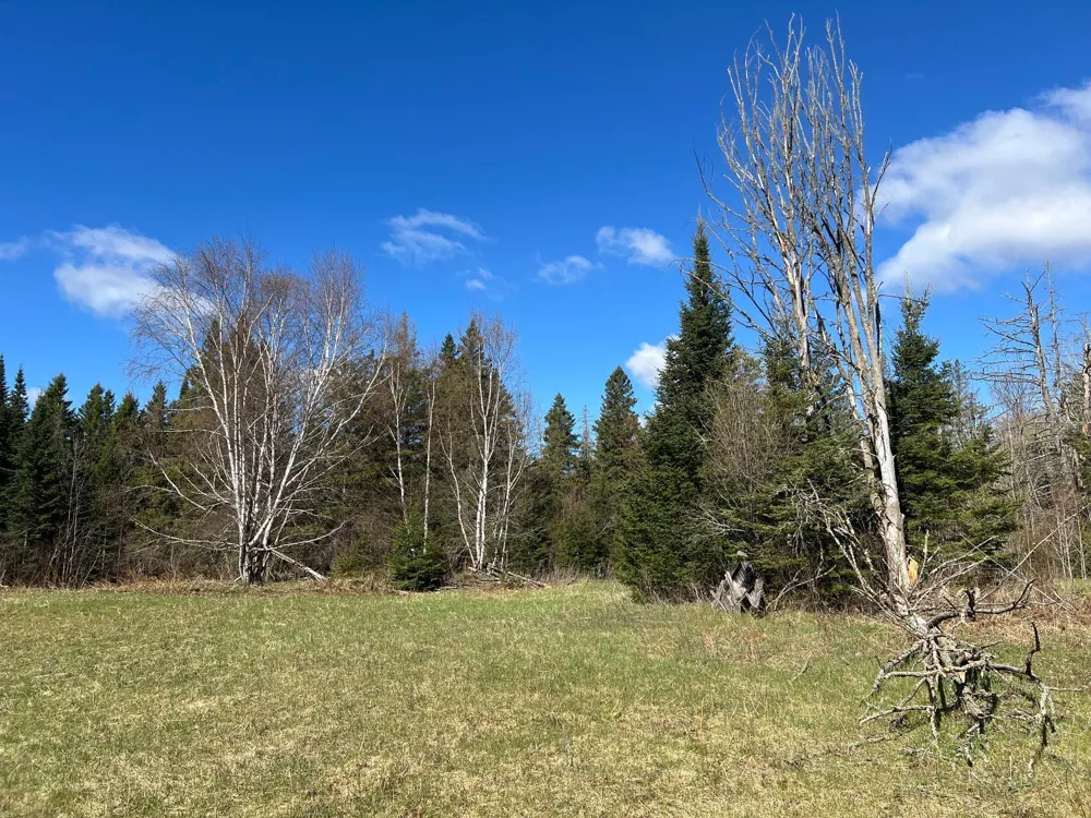 12905 Township Road D Wawina, MN 55736