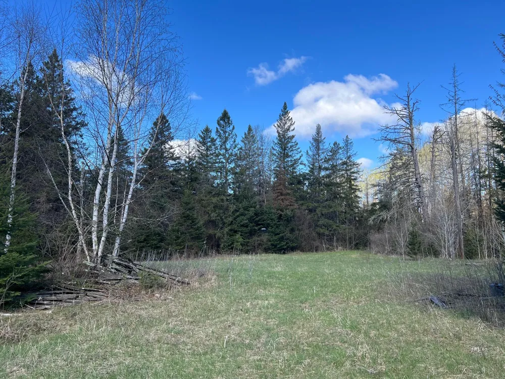 12905 Township Road D Wawina, MN 55736
