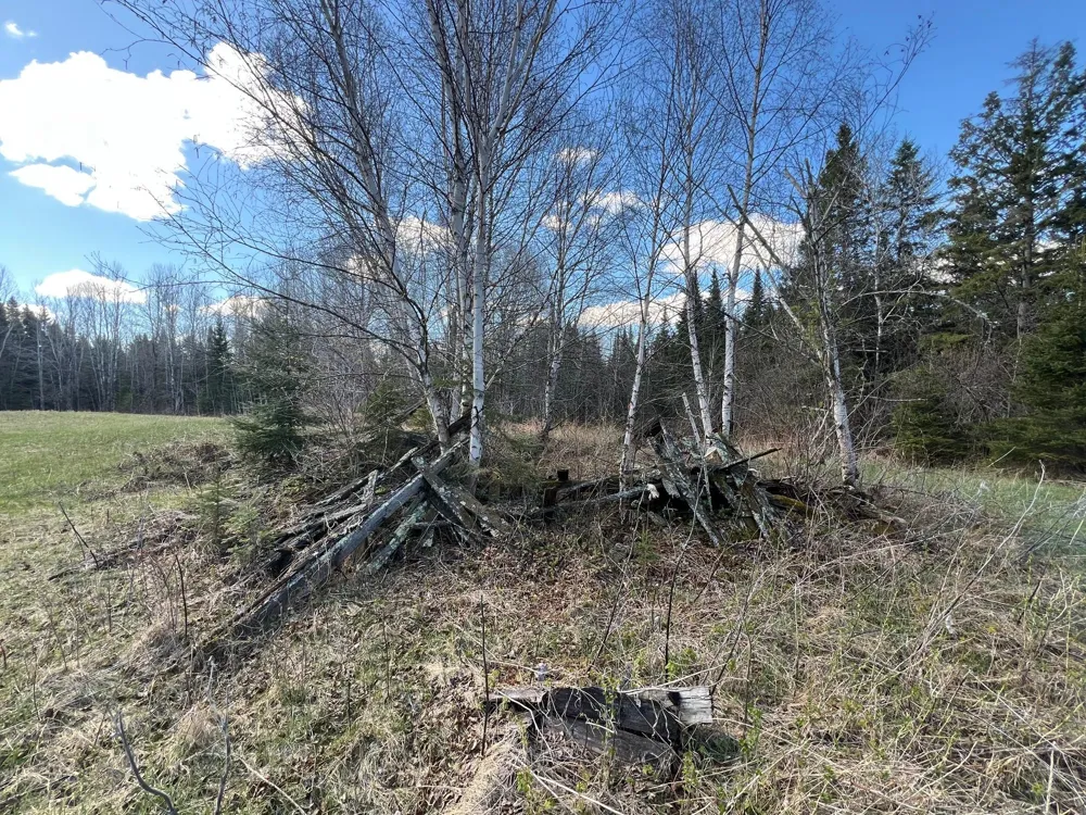 12905 Township Road D Wawina, MN 55736
