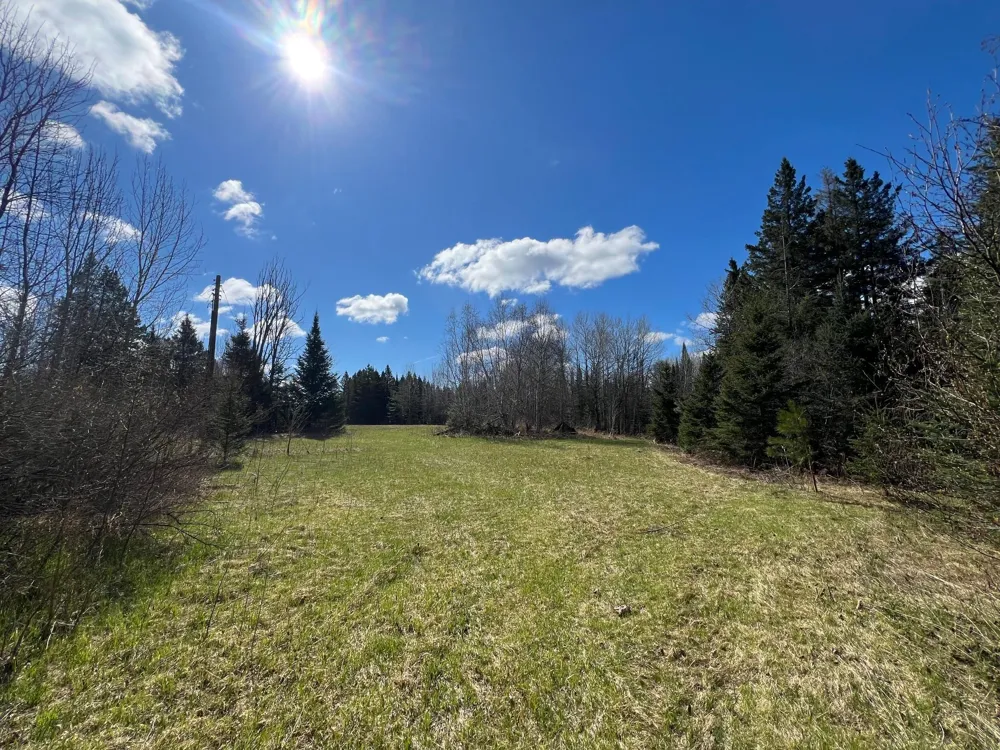 12905 Township Road D Wawina, MN 55736