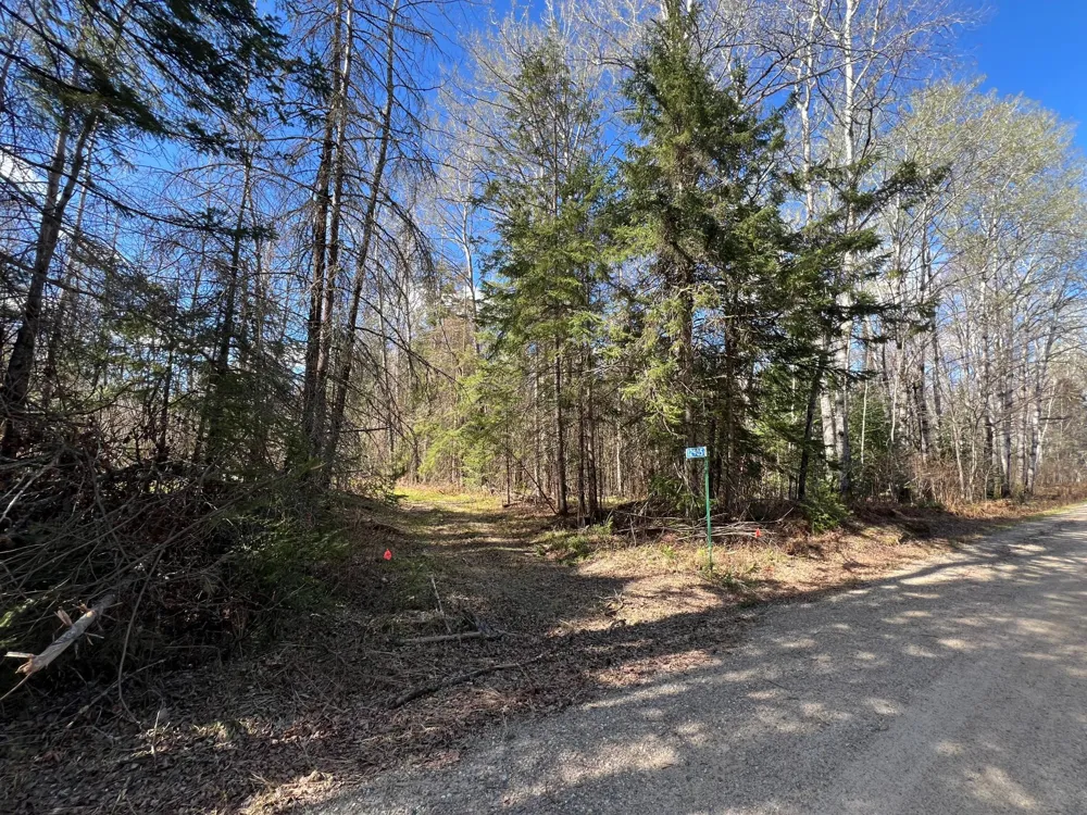 12905 Township Road D Wawina, MN 55736