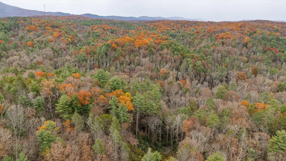 138 Bowater Road Tellico Plains, TN 37385