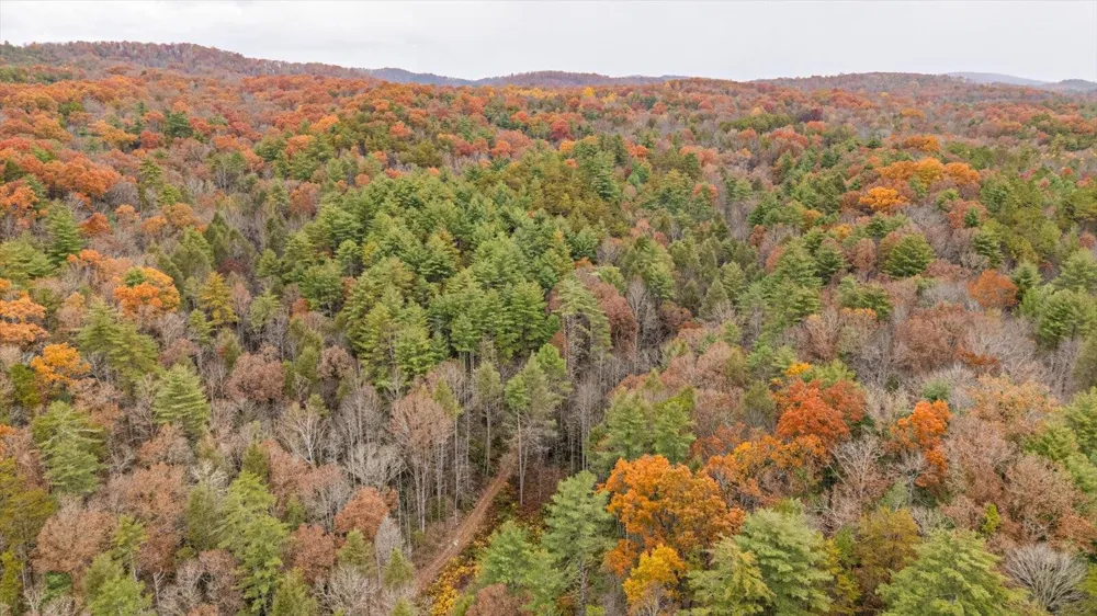 138 Bowater Road Tellico Plains, TN 37385
