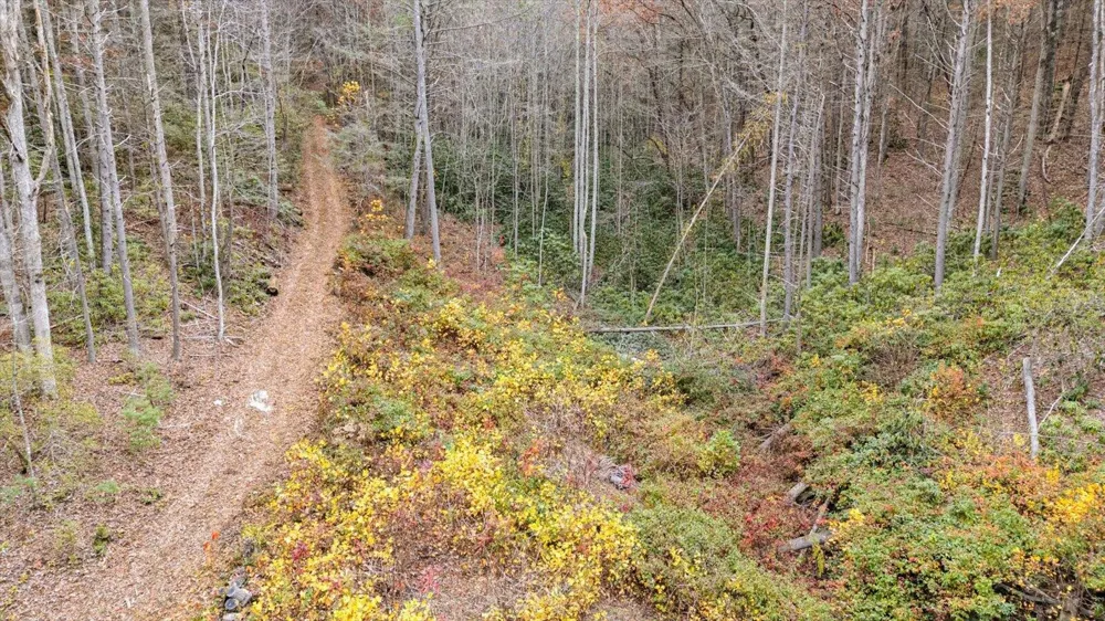 138 Bowater Road Tellico Plains, TN 37385