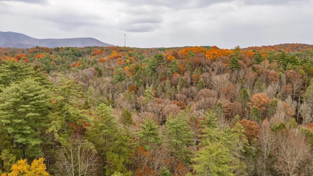 138 Bowater Road Tellico Plains, TN 37385