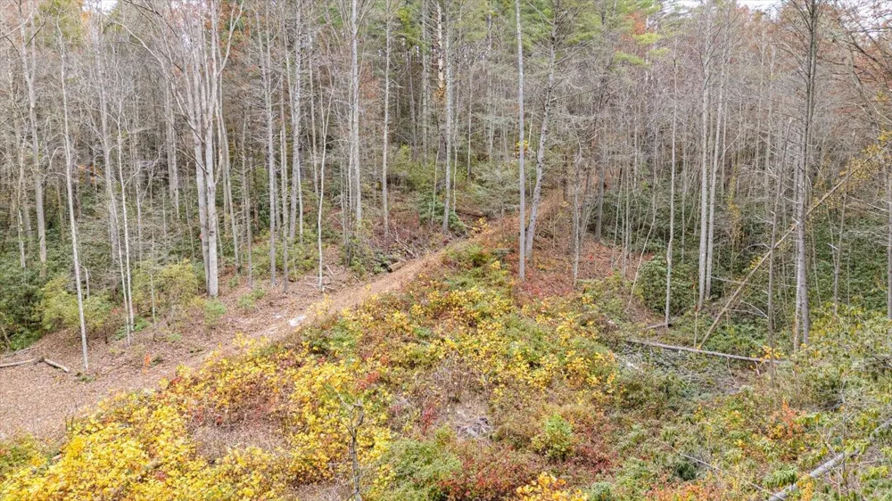 138 Bowater Road Tellico Plains, TN 37385