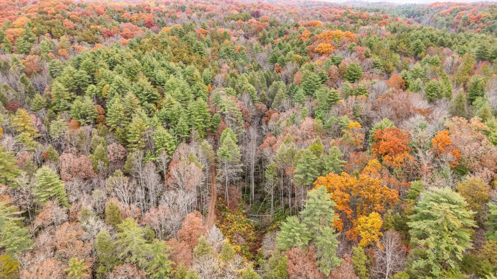 138 Bowater Road Tellico Plains, TN 37385