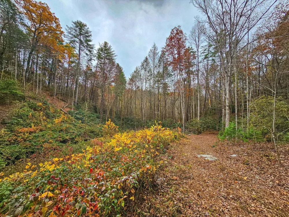 138 Bowater Road Tellico Plains, TN 37385