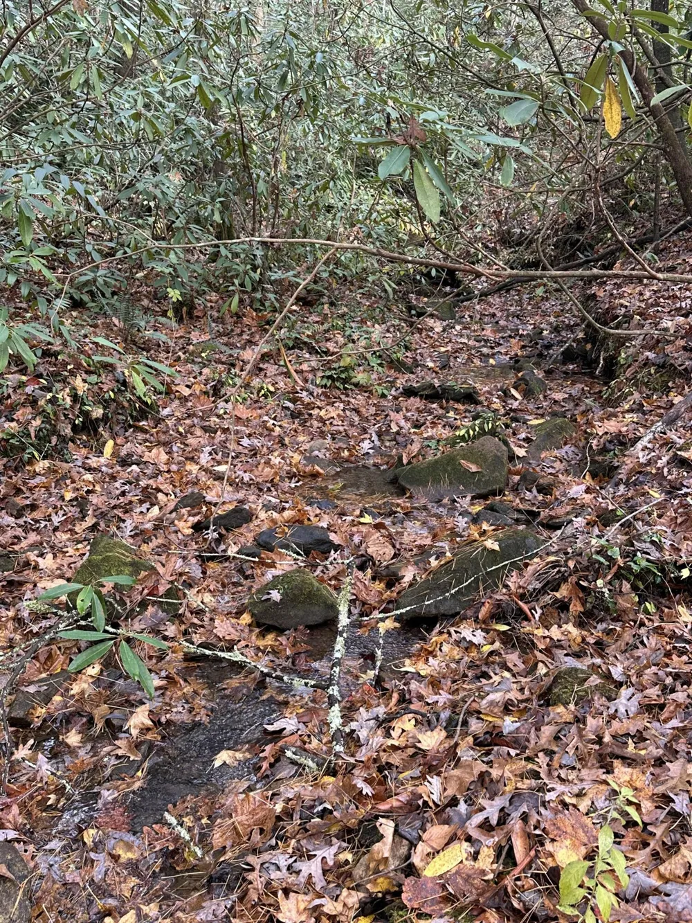 138 Bowater Road Tellico Plains, TN 37385