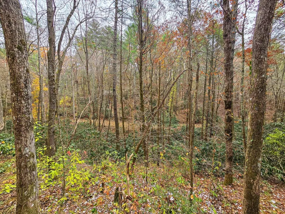 138 Bowater Road Tellico Plains, TN 37385