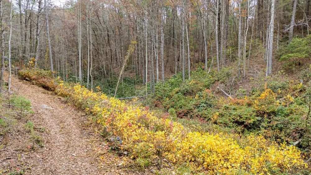 138 Bowater Road Tellico Plains, TN 37385