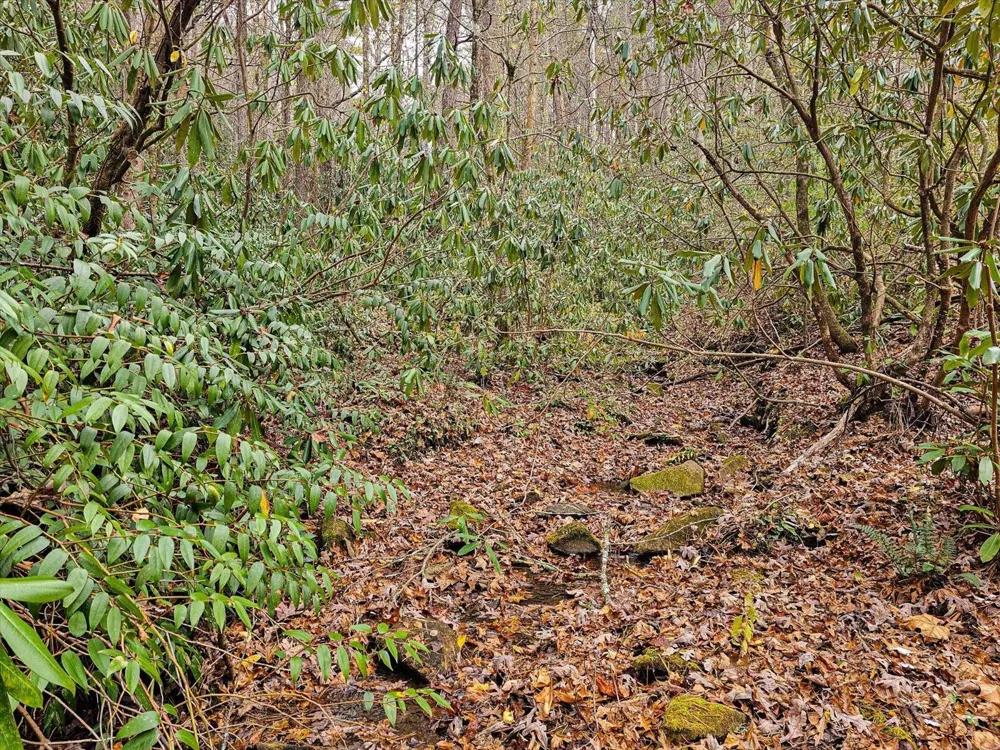 138 Bowater Road Tellico Plains, TN 37385