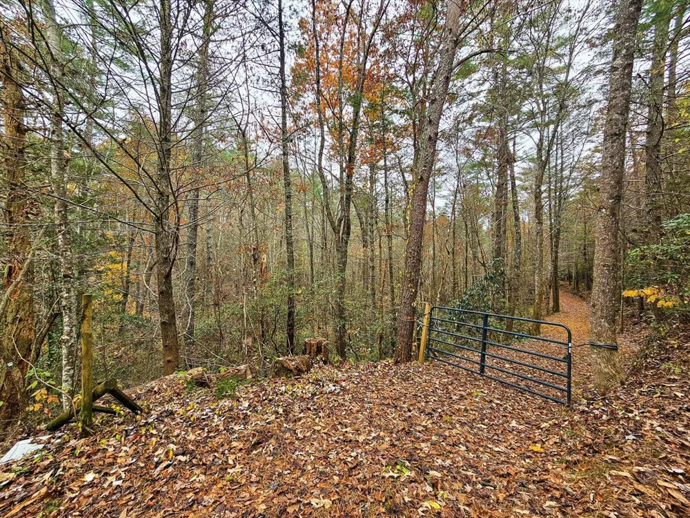 138 Bowater Road Tellico Plains, TN 37385