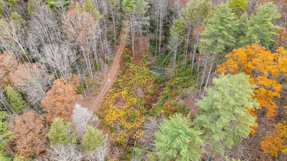 138 Bowater Road Tellico Plains, TN 37385