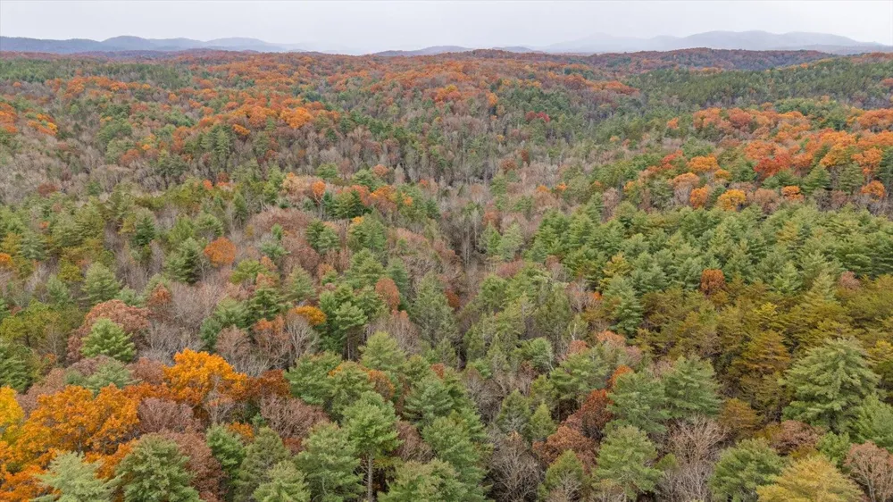 138 Bowater Road Tellico Plains, TN 37385
