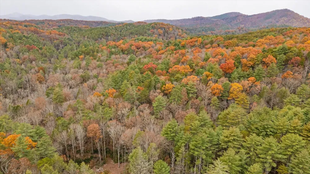 138 Bowater Road Tellico Plains, TN 37385