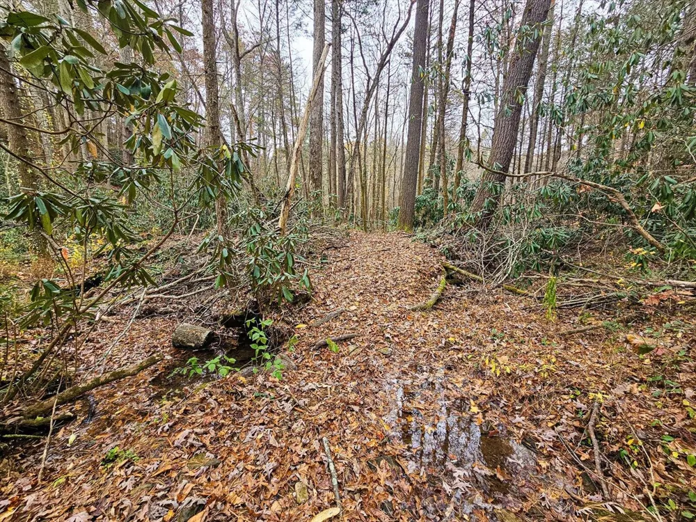 138 Bowater Road Tellico Plains, TN 37385
