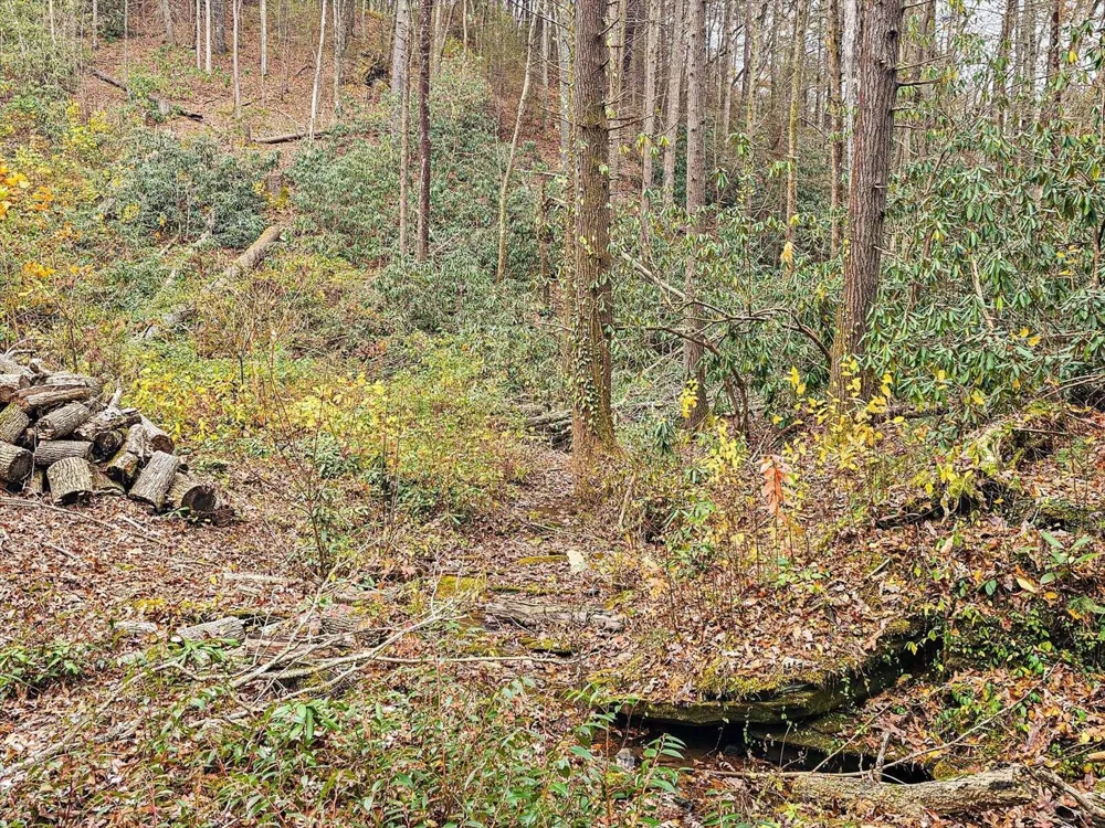 138 Bowater Road Tellico Plains, TN 37385