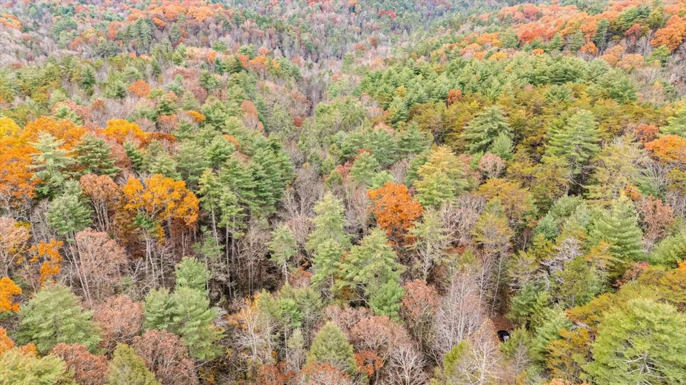 138 Bowater Road Tellico Plains, TN 37385