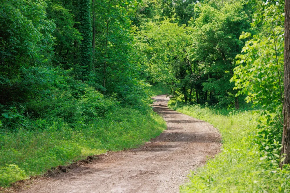582 Cedar Bend Rd Beechgrove, TN 37018