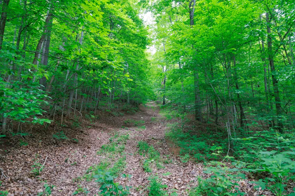 582 Cedar Bend Rd Beechgrove, TN 37018