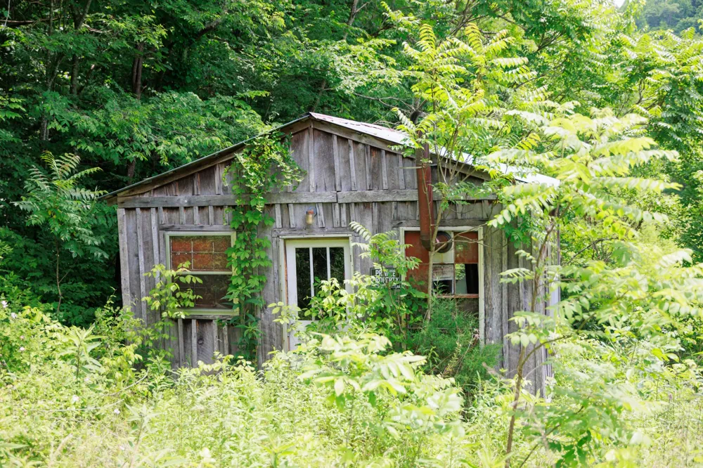 582 Cedar Bend Rd Beechgrove, TN 37018