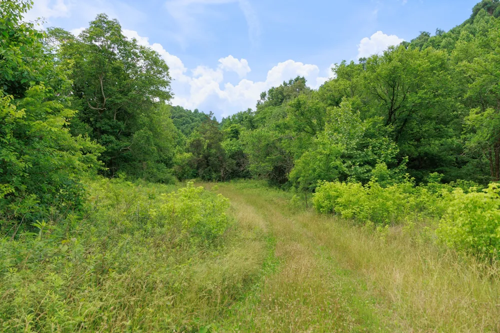 582 Cedar Bend Rd Beechgrove, TN 37018