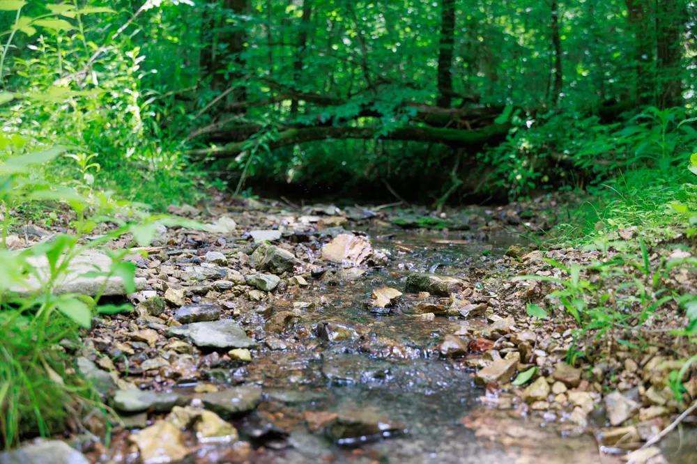 582 Cedar Bend Rd Beechgrove, TN 37018