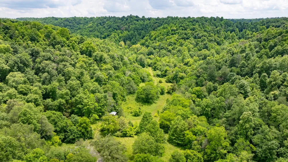 582 Cedar Bend Rd Beechgrove, TN 37018