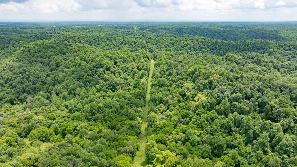 582 Cedar Bend Rd Beechgrove, TN 37018