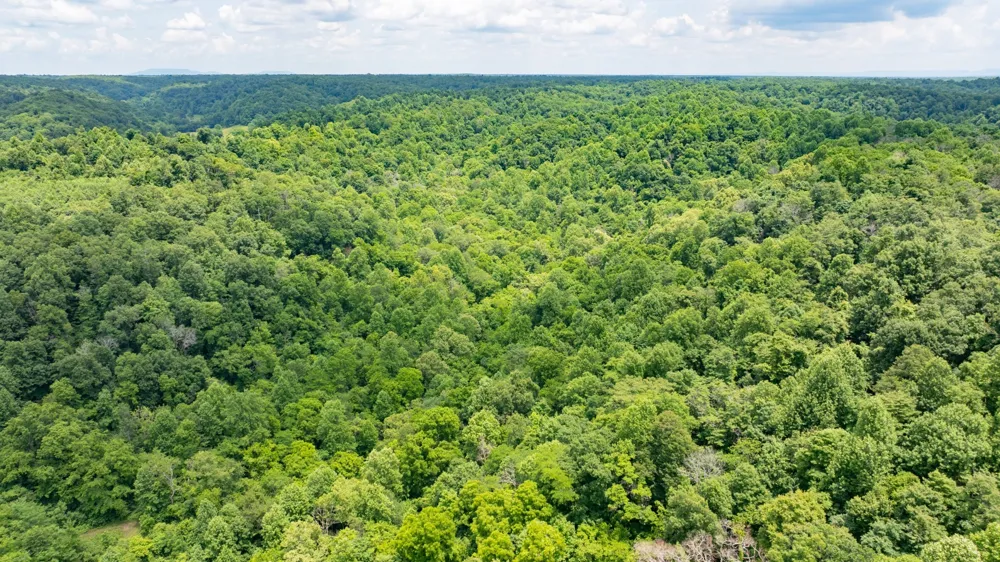 582 Cedar Bend Rd Beechgrove, TN 37018