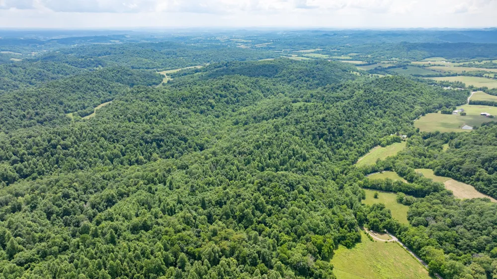 582 Cedar Bend Rd Beechgrove, TN 37018