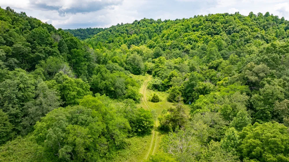 582 Cedar Bend Rd Beechgrove, TN 37018