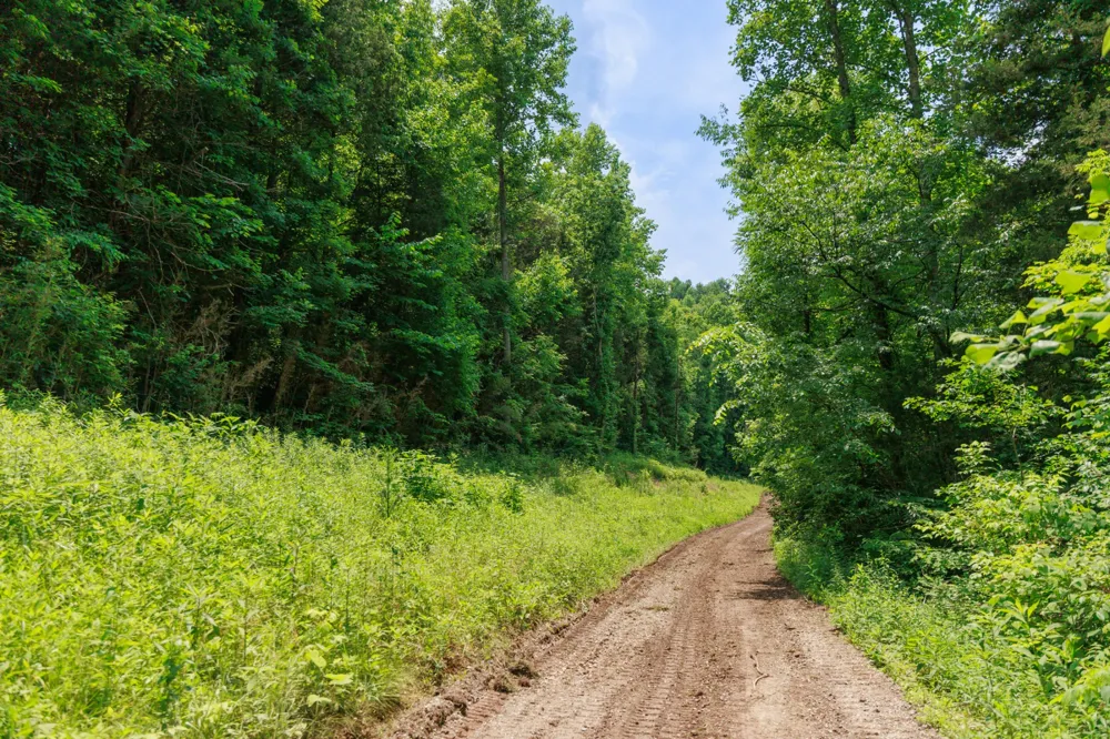 582 Cedar Bend Rd Beechgrove, TN 37018
