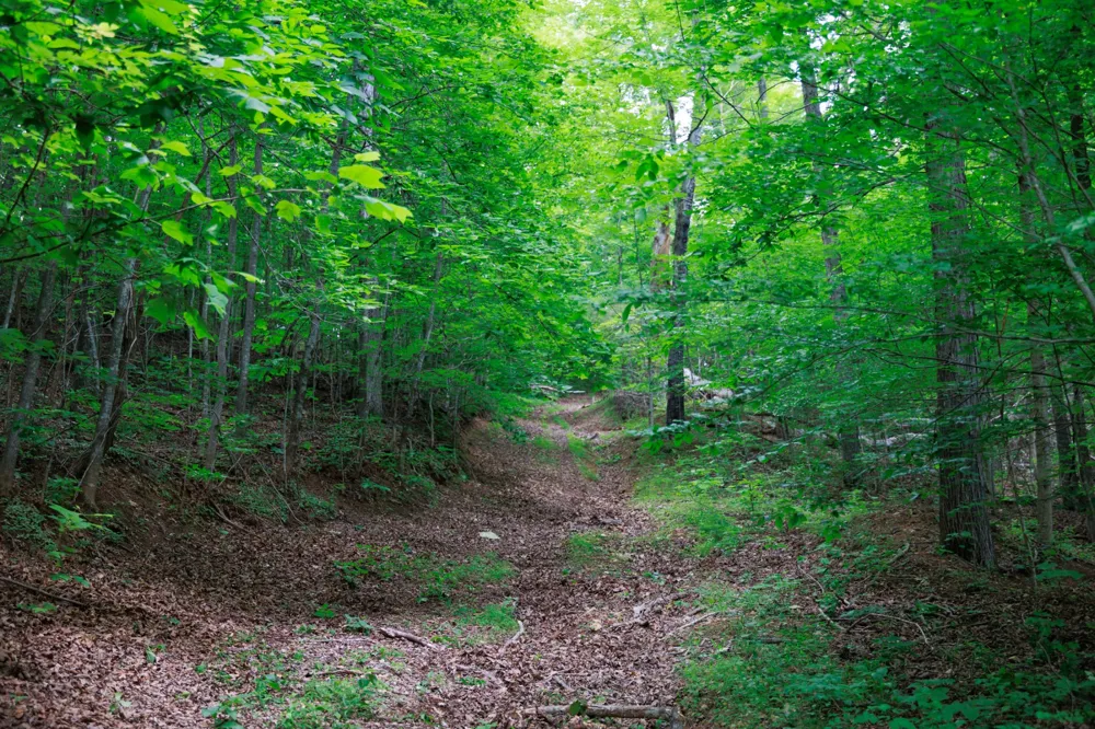 582 Cedar Bend Rd Beechgrove, TN 37018