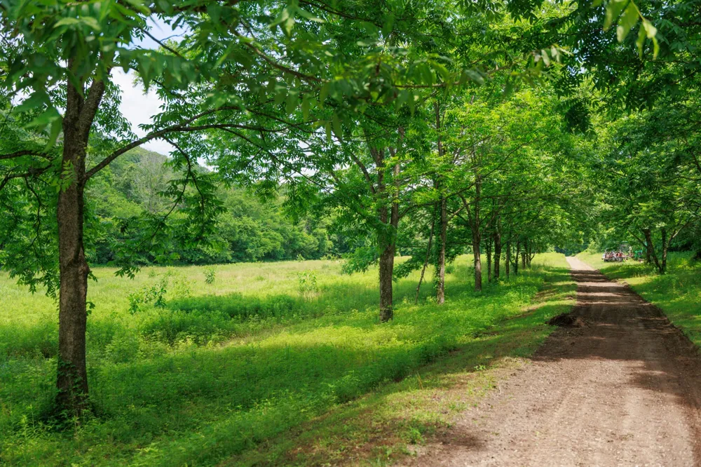 582 Cedar Bend Rd Beechgrove, TN 37018