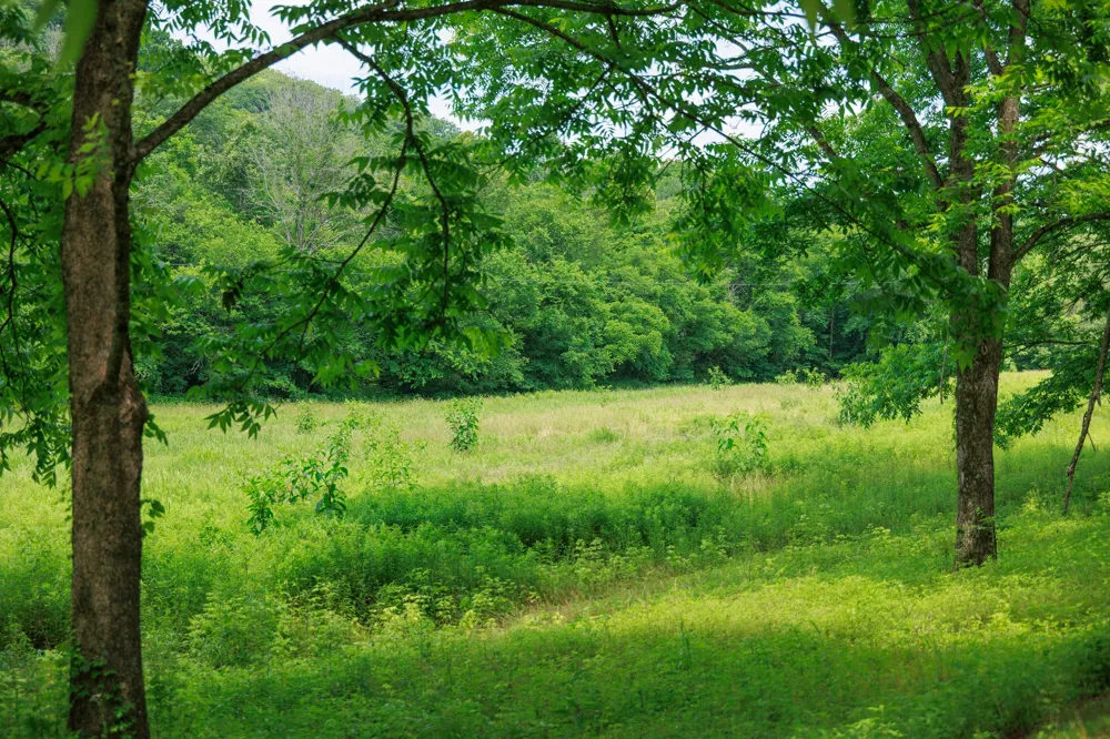 582 Cedar Bend Rd Beechgrove, TN 37018