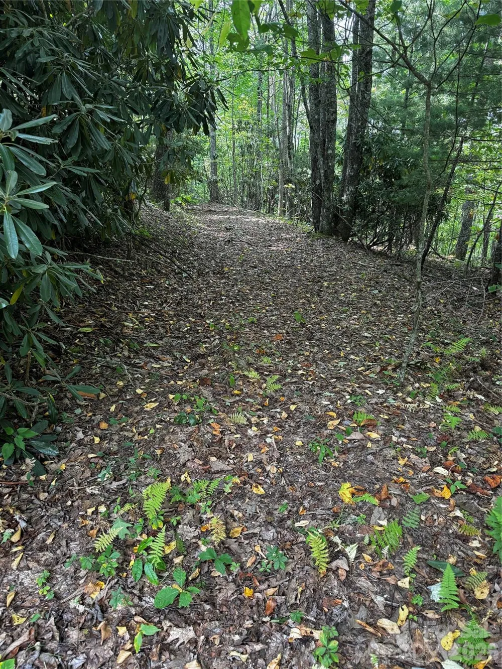 45 Windy Hollow Lane Newland, NC 28657