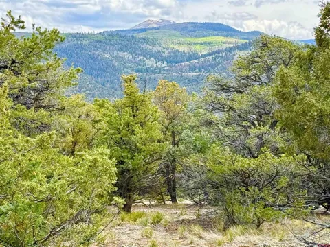 207 Wolf Creek Rd