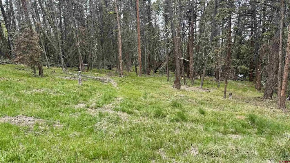 1301 Spruce Road Cimarron, CO 81220