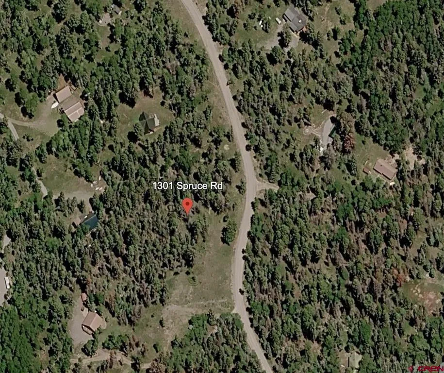 1301 Spruce Road Cimarron, CO 81220