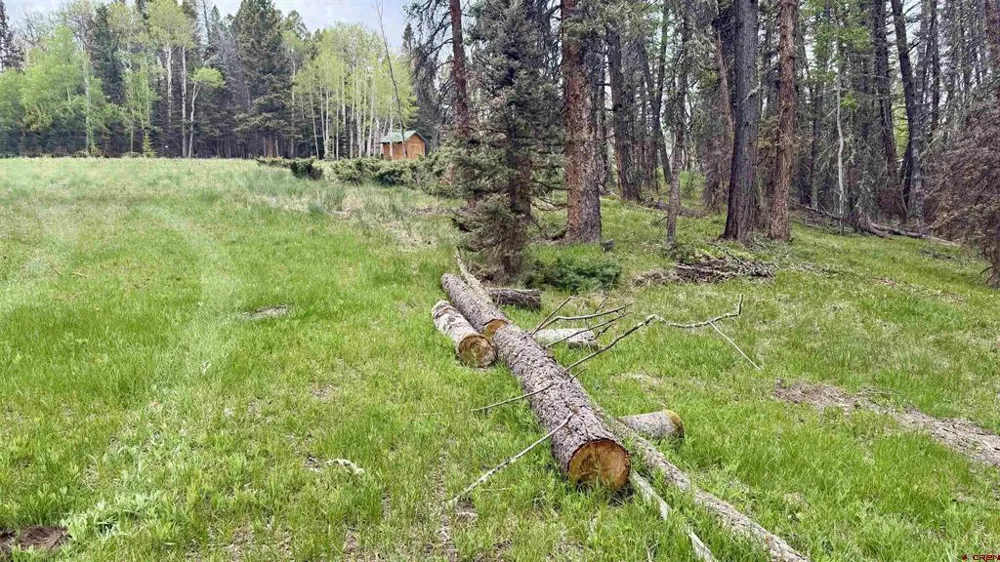 1301 Spruce Road Cimarron, CO 81220