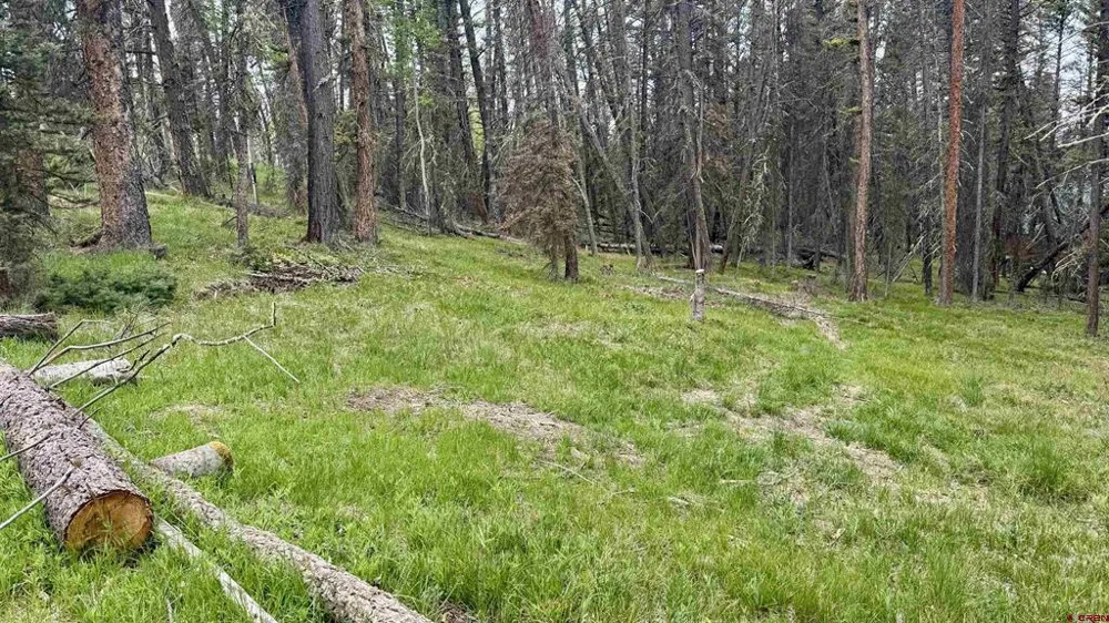 1301 Spruce Road Cimarron, CO 81220