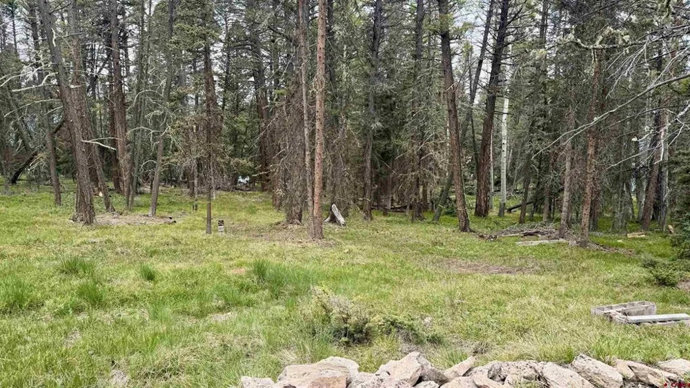1301 Spruce Road Cimarron, CO 81220
